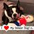 Amy Marie Falk's profile image
