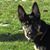 Evelyn Loreen Flory's profile image