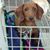 Karen Sayers Loveland's profile image