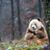 Mary Ann Reed's profile image