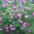 Mary Barstad's profile image