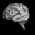 Julia Wright's profile image