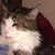 Cindy Cunnyngham's profile image