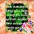 Maureen Alfano's profile image