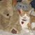 Diana McAdam's profile image