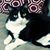Virginia J. Ciccotto's profile image