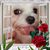 Donna Schmidt's profile image