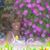 Paula Fasano's profile image