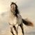 Michelle Babcock's profile image