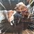 Sharon Jean Castagna's profile image