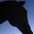 Ric G Martinetti's profile image