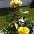 Mary Murphy's profile image