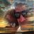 Debbie Crandall's profile image