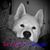 Lisa Shipley's profile image