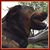 Kim Barnes's profile image