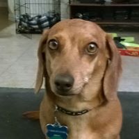 Greg Palmer's profile image