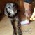 Winnie Rootes's profile image