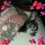 Debra Guensch's profile image