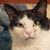 Ann Gilboy-Ellis's profile image