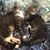 Denise L Dickinsen's profile image
