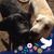 Kandi Judy's profile image