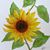 June Hadaway's profile image