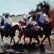 Sue Ann Dittrich's profile image