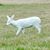 Pat Hudson's profile image