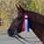 Janelle Nicolas-Young's profile image