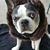 Heidi Paulsen's profile image