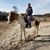 Dave Moseley's profile image