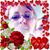 Sylvia Olmstead's profile image