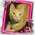 Suzanne T. Turner's profile image