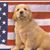 Jeff Kelly's profile image