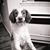 Olesya K's profile image