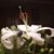 Jacquie Becher's profile image