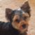 Margaret Gaines's profile image