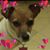 Ramona Pinyerd's profile image
