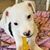 Cindy Casey Robinson's profile image