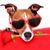 Leonel Efrain Cruz Ortiz's profile image