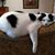 Ann Luther-Burky's profile image