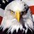 Robert Possehl's profile image