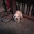 Jillian Gavin's profile image