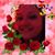 Faith Stuttler's profile image
