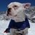 Melanie Verreault's profile image