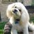 Judy Salamon's profile image