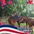 Lisa Downing's profile image