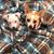 Tina Northrup's profile image