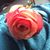 Dwana Abbott's profile image