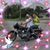 Danielle Laswell's profile image